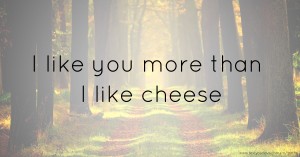 I like you more than I like cheese