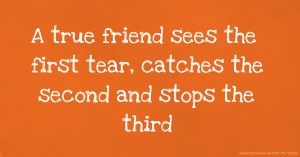 A true friend sees the first tear, catches the second and stops the third.
