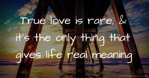 True love is rare, & it's the only thing that gives life real meaning