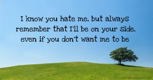 I know you hate me, but always remember that I'll be on your side, even if you don't want me to be.