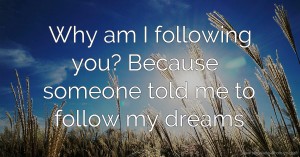 Why am I following you? Because someone told me to follow my dreams.