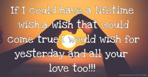 If I could have a lifetime wish,a wish that would come true,I would wish for yesterday and all your love too!!!