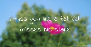 i miss you like a fat kid misses his stake