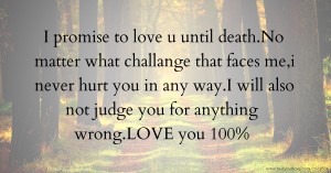 I promise to love u until death.No matter what challange that faces me,i never hurt you in any way.I will also not judge you for anything wrong.LOVE you 100%