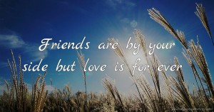 Friends are by your side but love is for ever
