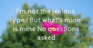I'm not the jealous type..  But what's mine is mine  No questions asked