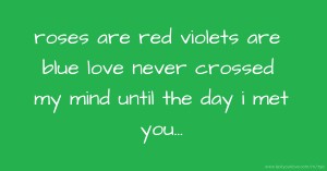 roses are red violets are blue love never crossed my mind until the day i met you...