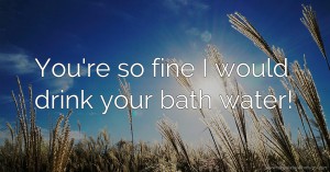 You're so fine I would drink your bath water!