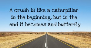 A crush is like a caterpillar in the beginning, but in the end it becomes and butterfly