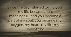 Since the day I started loving you, my life became more meaningful... and you became a part of my soul, you became my oxygen, my heart, my life, my everything.