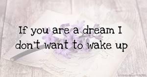 If you are a dream I don't want to wake up