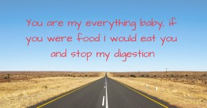 You are my everything baby, if you were food I would eat you and stop my digestion