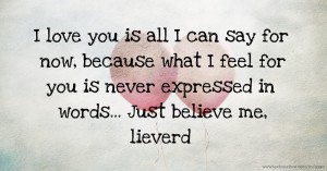 I love you is all I can say for now, because what I feel for you is never expressed in words... Just believe me, lieverd.