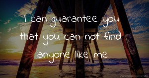 I can guarantee you that you can not find anyone like me.