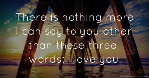There is nothing more I can say to you other than these three words: I love you.