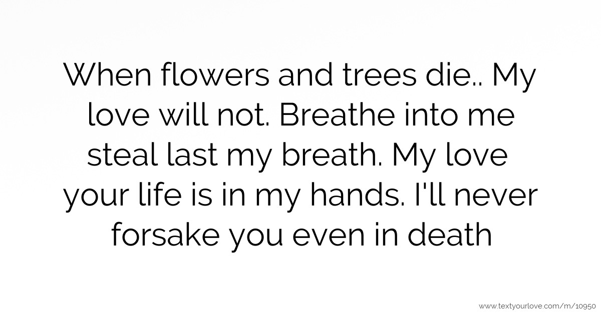 When flowers and trees die.. My love will not. Breathe... Text