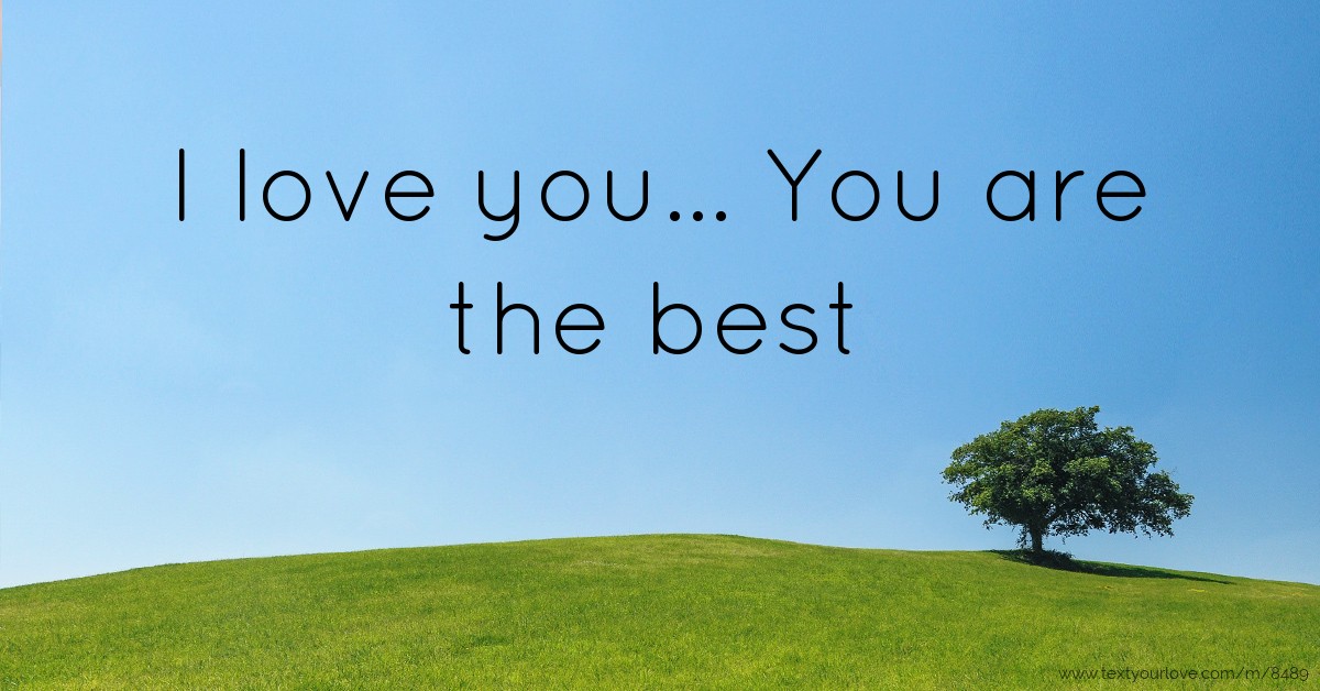 I love you... You are the best. Text Message by angeal