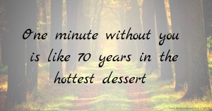One minute without you is like 70 years in the hottest dessert