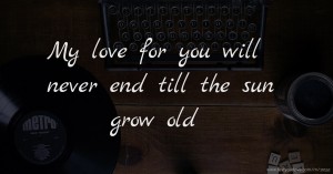 My love for you will never end till the sun grow old