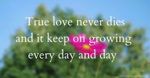 True love never dies and it keep on growing every day and day.