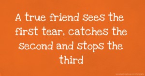 A true friend sees the first tear, catches the second and stops the third.