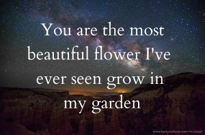 You are the most beautiful flower I've ever seen grow in my garden