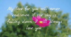 My love for you will never end even if the sky is falling down. I will always love you.