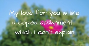 My love for you is like a copied assignment which I can't explain