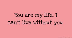 You are my life. I can't live without you.