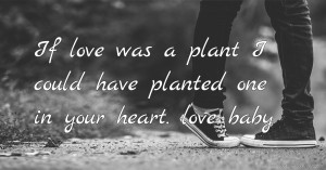 If love was a plant I could have planted one in your heart. love baby