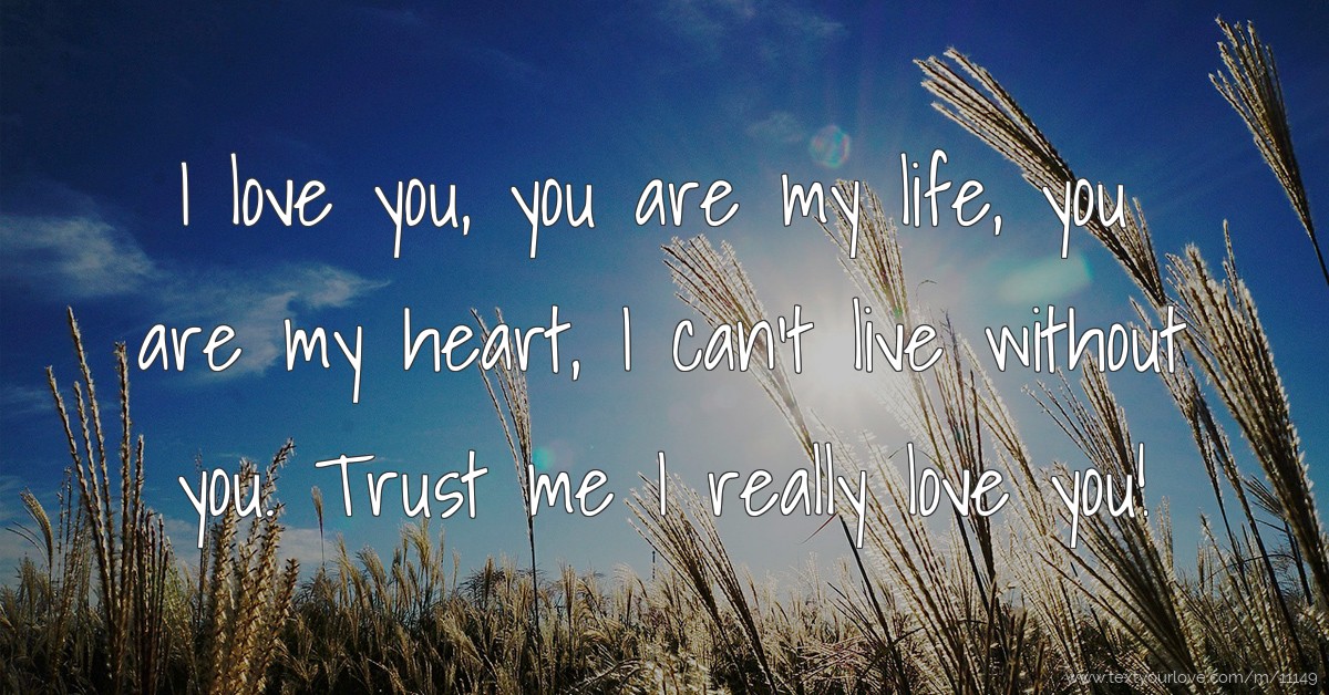 I love you, you are my life, you are my heart, I can't... | Text Message by  princess nikki