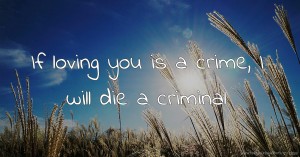 If loving you is a crime, I will die a criminal