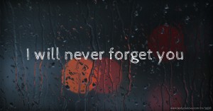 I will never forget you