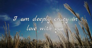I am deeply crazy in love with you