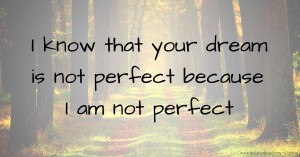 I know that your dream is not perfect because I am not perfect