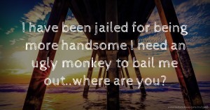 I have been jailed for being more handsome I need an ugly monkey to bail me out..where are you?