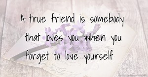 A true friend is somebody that loves you when you forget to love yourself.