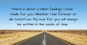 There is about a million feelings. I have inside for you. Whether I live forever or die tomorrow. My love for you will always be written in the sands of time.