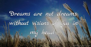 Dreams are not dreams without visions of you in my head.