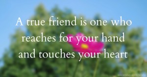A true friend is one who reaches for your hand and touches your heart.