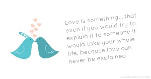 Love is something... that even if you would try to explain it to someone it would take your whole life, because love can never be explained.