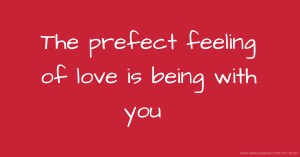 The prefect feeling of love is being with you.