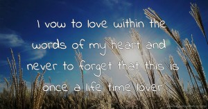 I vow to love within the words of my heart and never to forget that this is once a life time lover