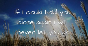 If I could hold you close again I will never let you go
