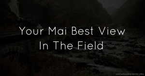 Your Mai Best View In The Field