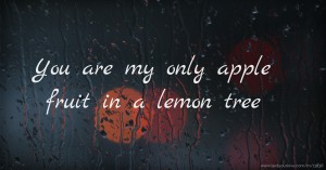 You are my only apple fruit in a lemon tree