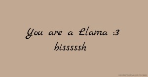 You are a Llama :3 bisssssh