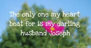 The only one my heart beat for is my darling husband Joseph