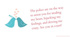The police are on the way to arrest you for stealing my heart, hijacking my feelings, and driving me crazy. See you in court!