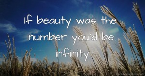 If beauty was the number you'd be infinity